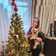 ���������� ���������, ���� ������� ����, 33 ����, ������������ ��� ����� � ���������, c�������� ���������