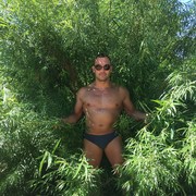  ,   , 39 ,  