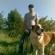  ,   Dimon, 43 ,   ,   , c 