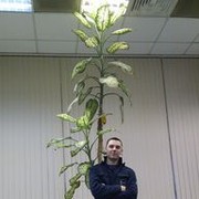  ,   , 35 ,   ,   , c 
