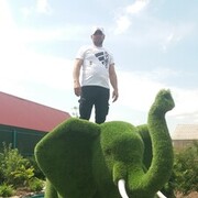 ���������� ������, ���� ������� Mihsa, 42 ����, ������������ ��� ������, ����� � ���������, c�������� ���������