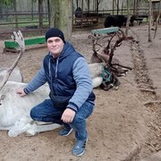 ���������� ������, ���� ������� Dima, 38 ���, ������������ ��� ������, ����� � ���������, c�������� ���������, ���������