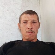   ,  , 43