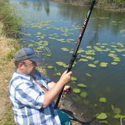 ���������� �����������, ���� ������� ������, 62 ����, ������������ ��� ������, ����� � ���������, c�������� ���������