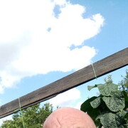  ,   , 46 ,   ,   