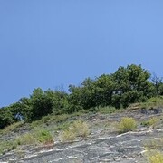  --,   , 33 ,   c 
