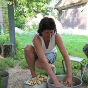  ,   , 60 ,     , c 