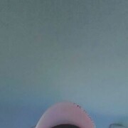   ,   , 55 ,   c 