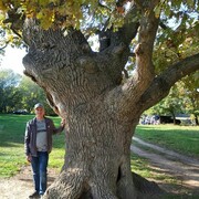  ,   , 36 ,   c 