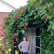 ���������� ������, ���� ������� ����, 64 ����, ������������ ��� ������, ����� � ���������