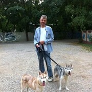  ,   , 55 ,   