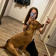  ,  , 26