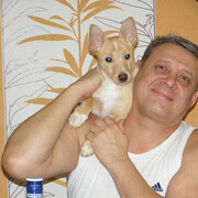  ,   , 53 ,   ,   , c , 