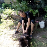  ,   , 48 ,   