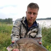  ,   , 45 ,   