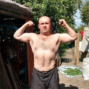  ,   , 53 ,  