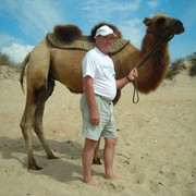  -,   , 81 ,   ,   , c 