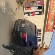 ���������� ������, ���� ������� �����, 35 ���, ������������ ��� ������, ����� � ���������