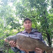 ���������� ������, ���� ������� ������, 46 ���, ������������ ��� c�������� ���������