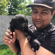 ���������� ����, ���� ������� �������, 39 ���, ������������ ��� ������, ����� � ���������