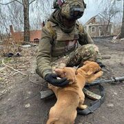 ���������� �����������, ���� ������� David, 31 ���, ������������ ��� ������, ����� � ���������, c�������� ���������