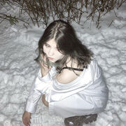 ���������� ������, ���� ������� ��������, 22 ����, ������������ ��� ������, ����� � ���������, ���������