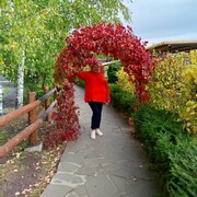  ,   , 41 ,   ,   , c 