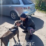  ,   Yarik, 33 ,   ,   , c 