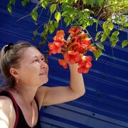 ���������� ���, ���� ������� �����, 49 ���, ������������ ��� c�������� ���������