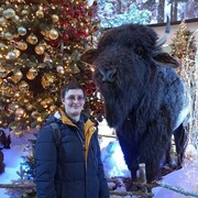 ���������� �����, ���� ������� ���������, 32 ����, ������������ ��� ������, ����� � ���������