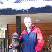   ,   , 55 ,  