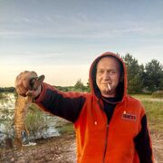 ���������� �������, ���� ������� ���������, 43 ����, ������������ ��� ������, ����� � ���������