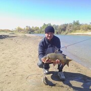 ���������� ������, ���� ������� �������, 61 ���, ������������ ��� ����� � ���������, c�������� ���������