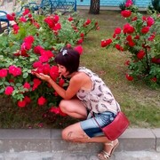  ,   , 41 ,     , c 