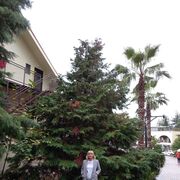 ,   Lara, 65 ,   ,   , c 