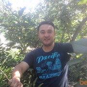 ���������� ���������, ���� ������� ��������, 41 ���, ������������ ��� ������