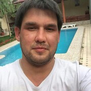 ���������� �������, ���� ������� Mirodil, 37 ���, ������������ ��� ������, ����� � ���������