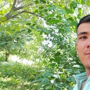  ,   Shoxrux, 29 ,   ,   , c 