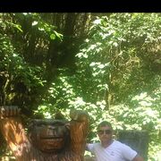 ���������� ���������, ���� ������� ���������, 34 ����, ������������ ��� ������, ����� � ���������