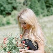  --,   , 28 ,   ,   , c 