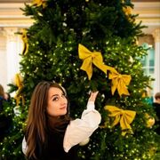 ���������� ����������, ���������