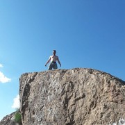  ,   Shark, 39 ,   