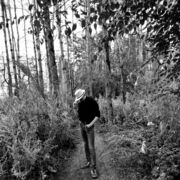 ���������� �������, ���� ����� �����, 21 ���, ������������ ��� ������, ����� � ���������