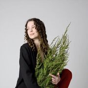 ���������� ������, ���� ������� ����, 23 ����, ������������ ��� ������, ����� � ���������, c�������� ���������