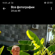  --,   , 50 ,   ,   , c 