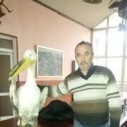  ,   , 56 ,   ,   