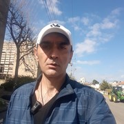  Holon,   , 43 ,   