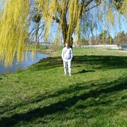  ,   , 48 ,   ,   , c , 