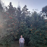 ���������� �������, ���� ������� ������, 45 ���, ������������ ��� ������, c�������� ���������, ���������