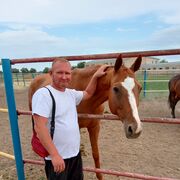 ���������� ������, ���� ������� ������, 48 ���, ������������ ��� ������, ����� � ���������, c�������� ���������, ���������